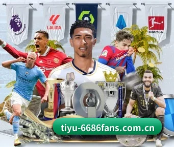 6686体育数据 APP
