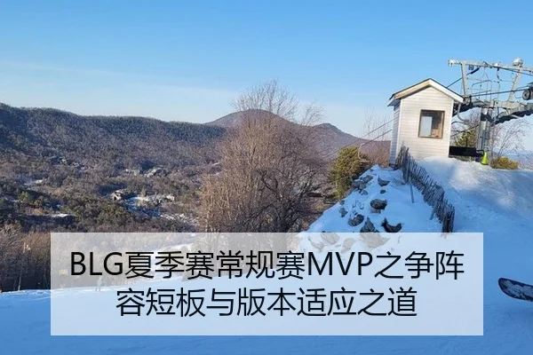 BLG夏季赛常规赛MVP之争阵容短板与版本适应之道